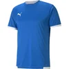 Puma Dres teamLIGA Jersey