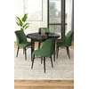 Hanah Home Set Trpezarijski sto i 4 stolice, Zeleno-crni