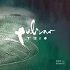 Pulsar Trio - Zoo Of Songs (LP)