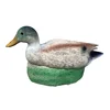 Eleven Target 3D Carp