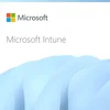 Microsoft Intune Storage Add-on-Annual Subscription (1 year)