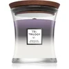WoodWick Trilogy Amethyst Sky