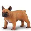 Safari Samica francoskega buldoga