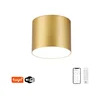 Immax NEO 07317L - LED prigušiva stropno svetlo RONDATE 18W/230V 11,5cm Wi-Fi Tuya zlatna