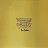 Nathaniel Rateliff & The Night Sweats - The Future (Coloured) (180 g) (LP)