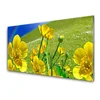 tulup.si Steklena slika Rainbow travnik flowers narava 125x50 cm 4 obešalnika