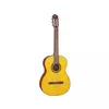 Takamine GC1-NAT