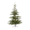Everlands Jelka Nobilis fir 150cm-102cm 68.9200