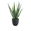 Dekordom Cvet u saksiji - aloe vera - n60 ( 025149 )