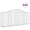 Lučne gabionske košare 40 kom 200x30x80/100cm pocinčano željezo