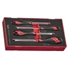 shumee SET PLOŠČATIH IZVIJAČEV TENG TOOLS TEAMD04N, 4 KOS.