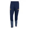 ADIDAS PERFORMANCE Športne hlače FC Bayern München 26/27 mornarska / opal / temno rumena / češnjevo rdeča