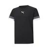 Puma K11808 pisana