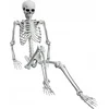 Korbi 165cm Anatomski Skelet Dekoracija Halloween