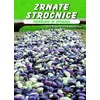 Zrnate stročnice - Darja Kocjan Ačko in Anamarija Ačko