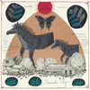 Will Johnson - Diamond City (Limited Edition) (Wintergreen Coloured) (LP)