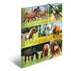 HERMA mapa s klapo in elastiko Horse Meadow, A4