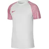 Jersey Nike Dri-FIT Academy