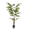 Umetna palma Fishtail 155cm - 151-180