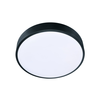 Brilagi - LED plafonsko svetlo POOL LED/36W/230V 3000/4000/6000K prečnik 30 cm crno