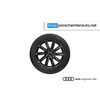 Originalni zimski komplet koles Audi Q4 E-TRON - 19 col (Speichen-Design) - 4 kosi