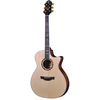 CRAFTER STG G-22ce PRO EL. AK. KITARA S TORBO (CN)