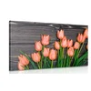 Slika očarljivi oranžni tulipani na leseni osnovi - 150x100