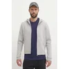 Pulover Reebok Active Collective moški, siva barva, s kapuco, 100075605