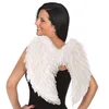 Krila Angel