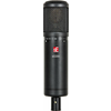 SE ELECTRONICS SE2200 STUDIO kondenzatorski mikrofon