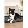 Paws & Whiskers Krevet za ljubimce Sally Dog, 55x75x8 cm, Antracit