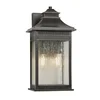 Quoizel QZ-LIVINGSTON2-M - Zunanja svetilka LIVINGSTON 2xE14/40W/230V IP44