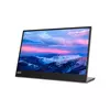 LENOVO L15 IPS FHD USB-C Portable (66E4UAC1WL)