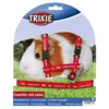 Trixie Am sa povodcem za morsko prase crveni