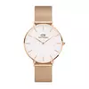 Ročna ura Daniel Wellington Petite DW00100305 Roza