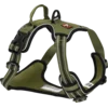 Dogs Creek oprsnica za pse Pathfinder L, zelena