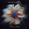Haven Of Echoes - Memento Vivere (180 g) (LP)