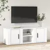 TV ormarić bijeli 100 x 31,5 x 35 cm od konstruiranog drva