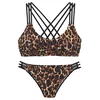 Bruno Banani Bikini rjava/brokat/črna