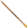 Bruynzeel Design pastelna barvica Yellow Ochre