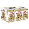 Royal Canin Dog Dachshund in Loaf pašteta 36 x 85 g