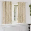 Baršunaste zavjese sa zavjesama 2 pcs Krema 175 x 140 cm Baršun