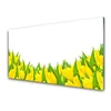 tulup.si Slika na steklu Tulipani rože narava 120x60 cm 4 obešalnika
