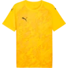 Puma Dres teamFINAL Graphic