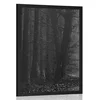 Plakat pot v gozdu v črnobeli varianti - 40x60 no frame