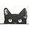 Kuhinjska krpa 50x70 Cat