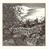 Conjurer - Mire (Reissue) (Gold Coloured) (LP)