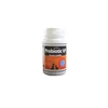 VetPlanet Probiotic VP - probiotik za pse i mačke 70 kapsula