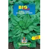ŠPINAČA GIGANTE BIG PACK 20gr
