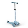 Scoot and Ride Highway kick 3SSteel